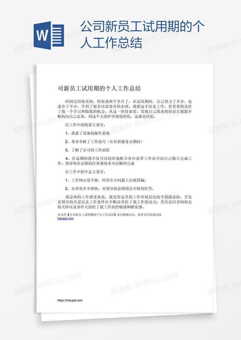 公司新员工试用期的个人工作总结