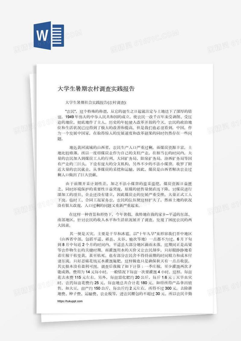 大学生暑期农村调查实践报告