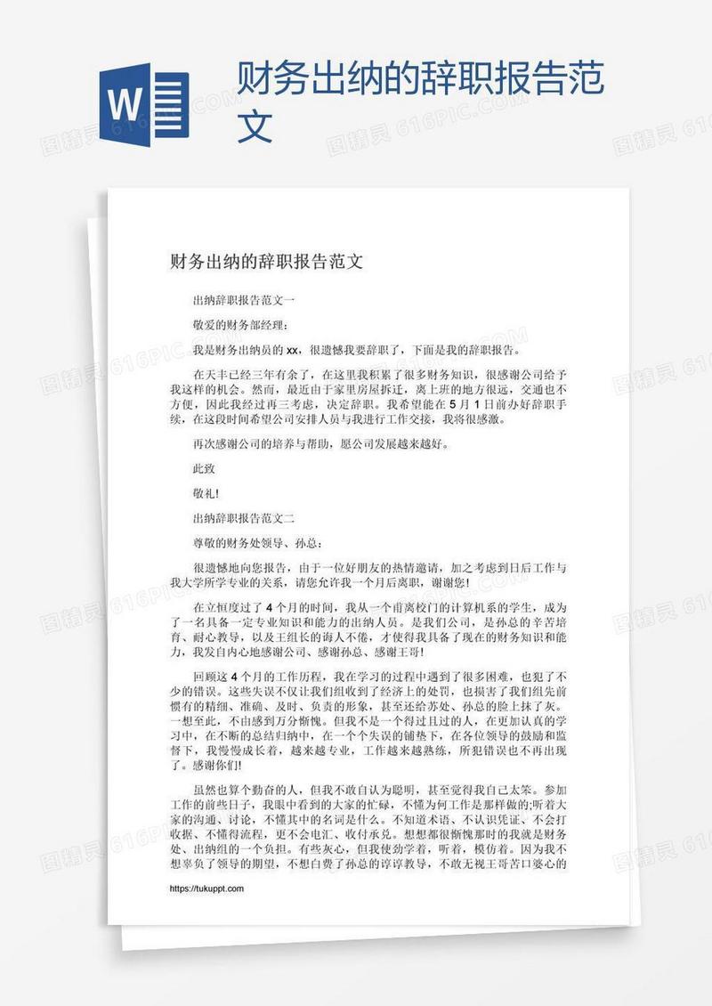 财务出纳的辞职报告范文