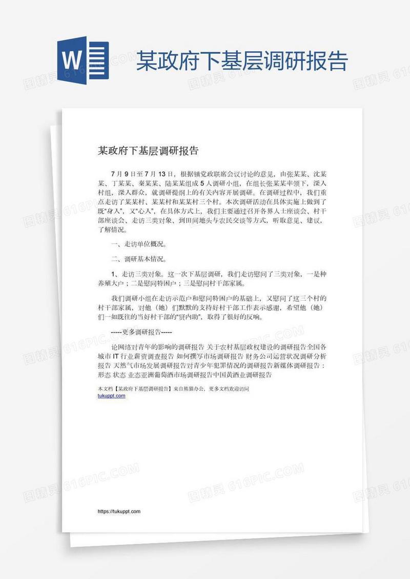 某政府下基层调研报告