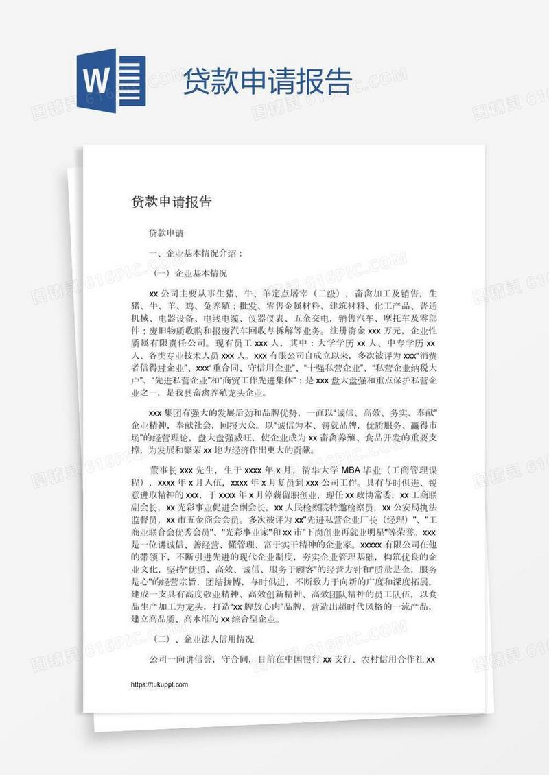 贷款申请报告