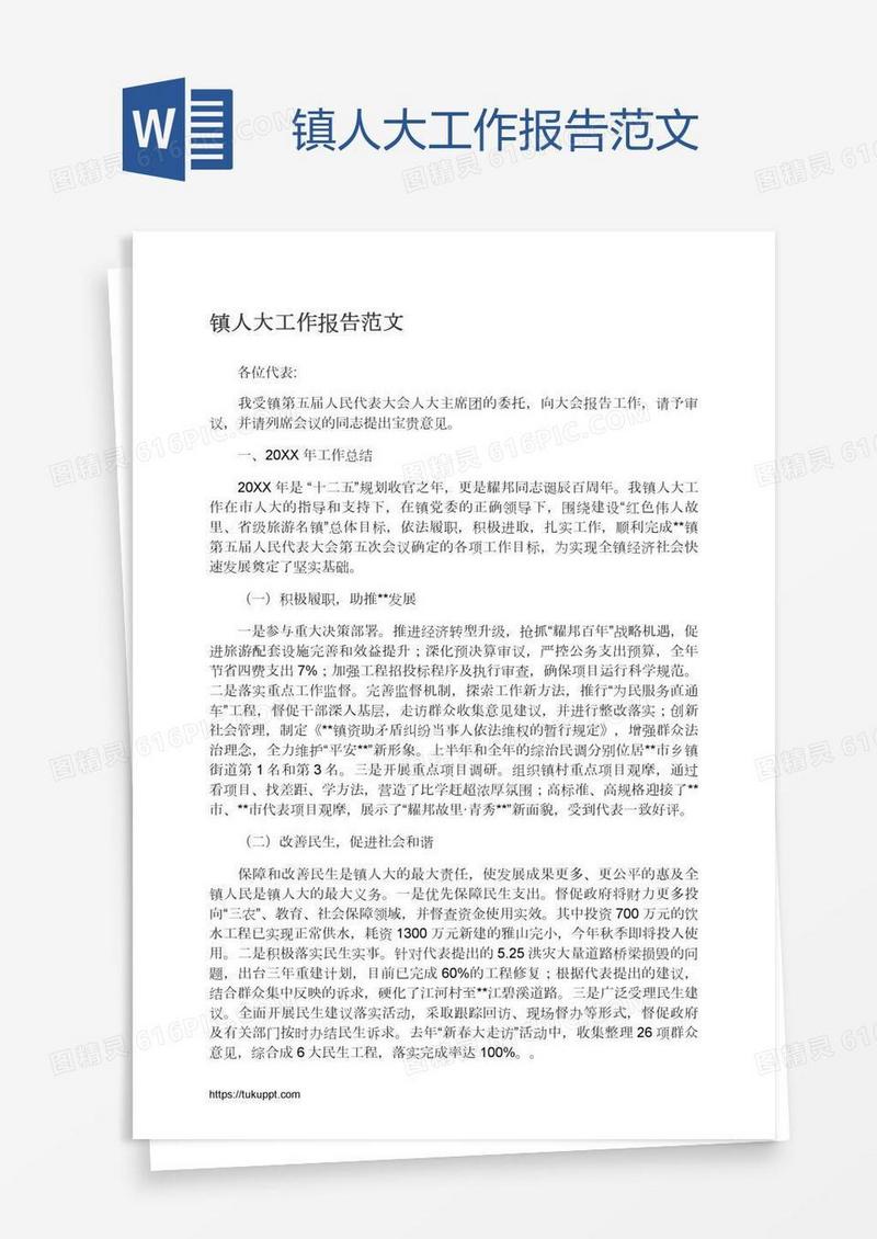 镇人大工作报告范文