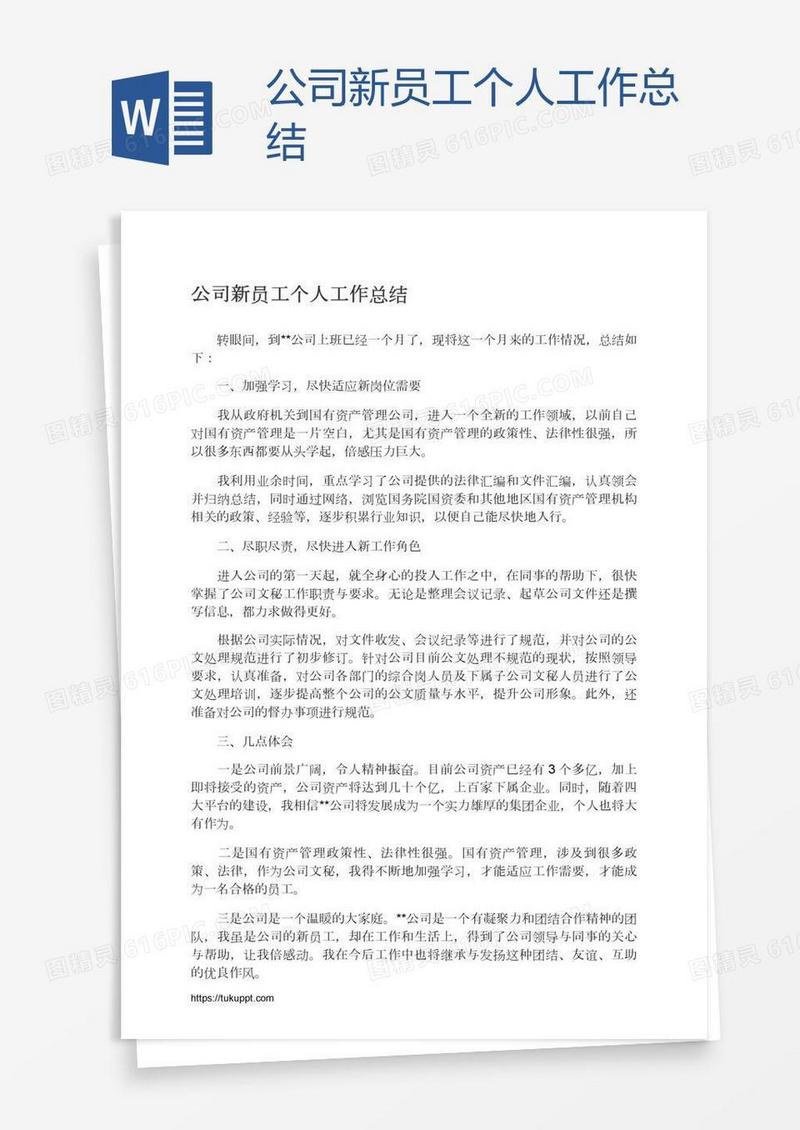 公司新员工个人工作总结
