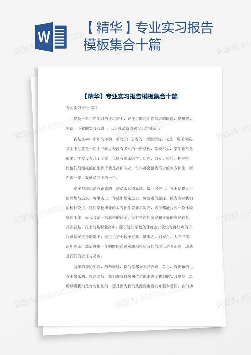 【精华】专业实习报告模板集合十篇