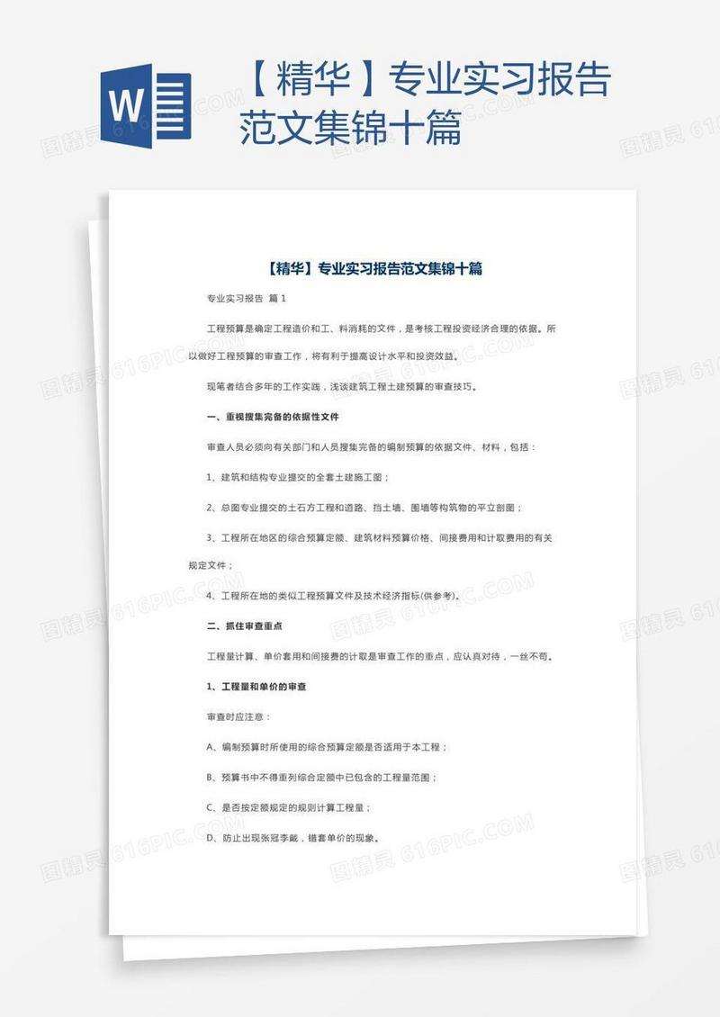 【精华】专业实习报告范文集锦十篇