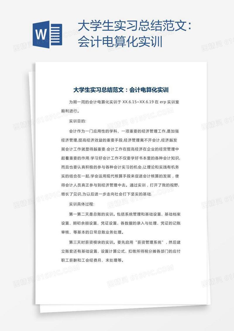 大学生实习总结范文：会计电算化实训