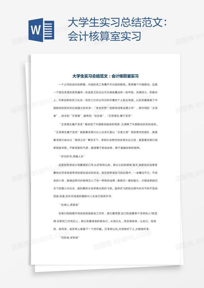 大学生实习总结范文：会计核算室实习