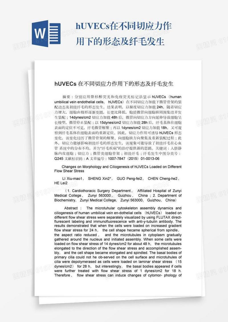 hUVECs在不同切应力作用下的形态及纤毛发生