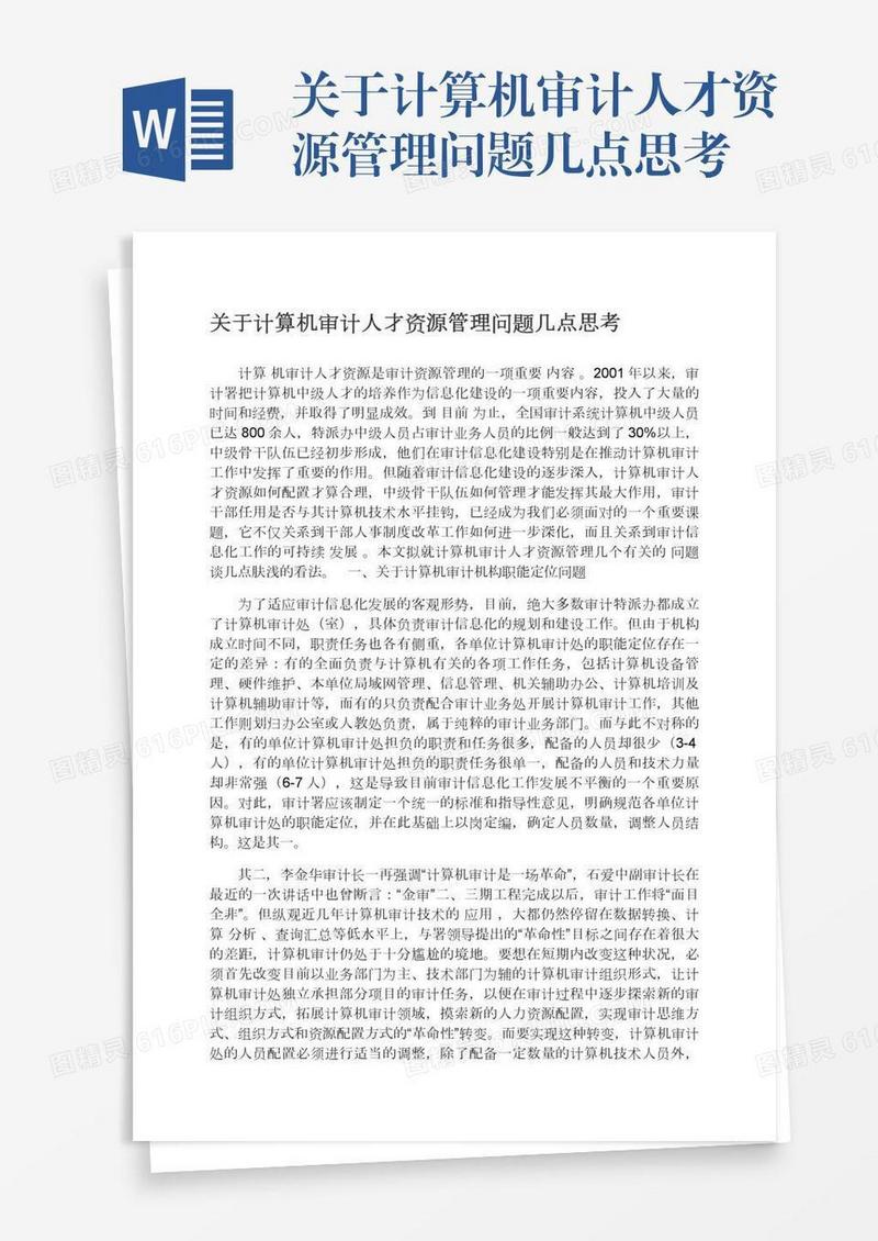 关于计算机审计人才资源管理问题几点思考