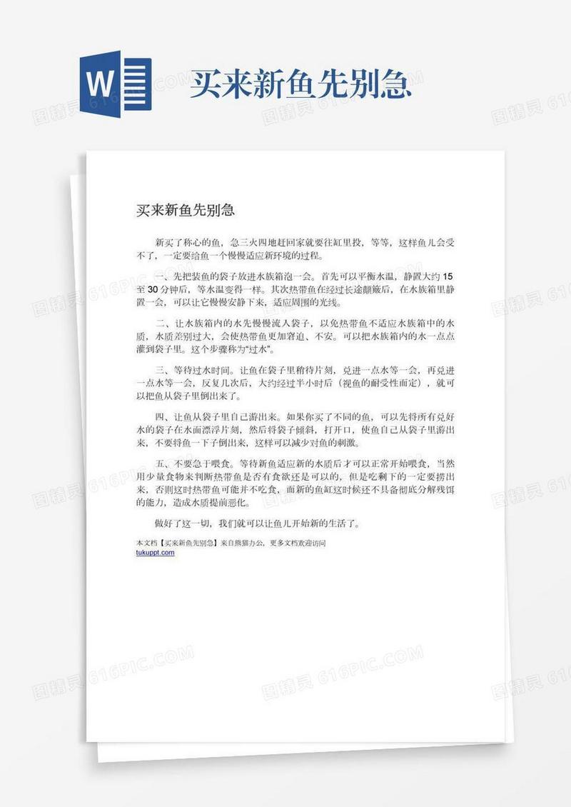 买来新鱼先别急