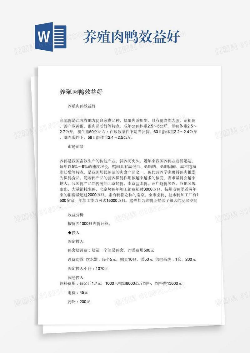 养殖肉鸭效益好