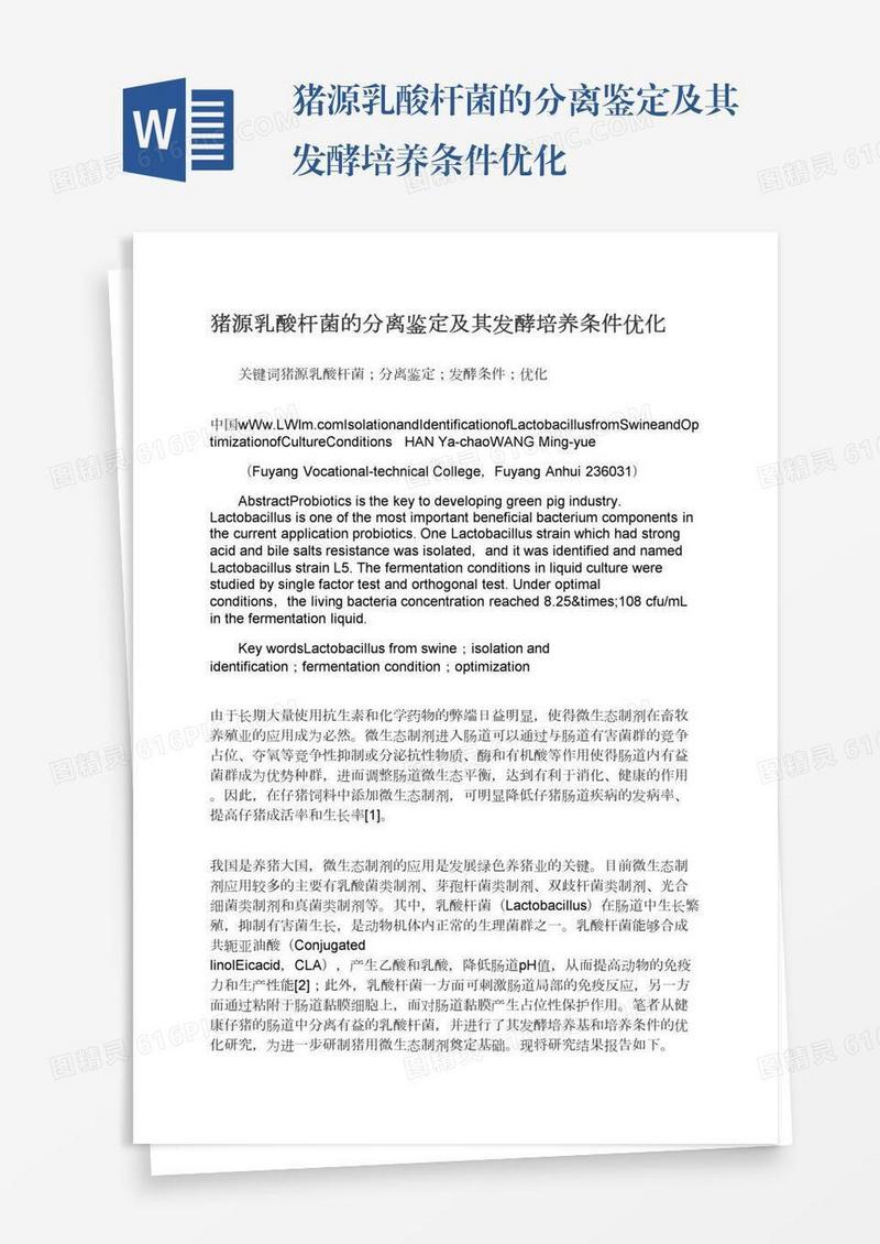 猪源乳酸杆菌的分离鉴定及其发酵培养条件优化