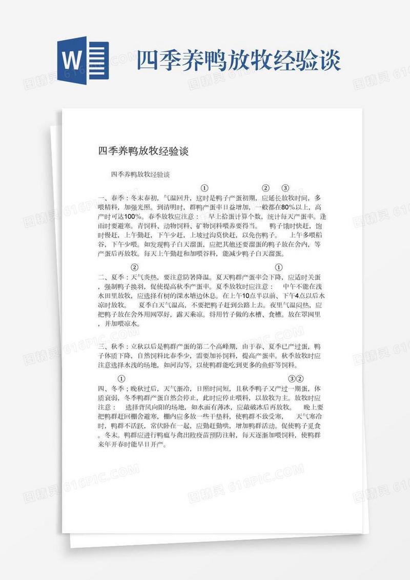 四季养鸭放牧经验谈