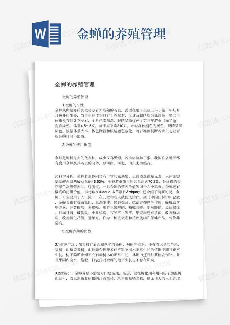 金蝉的养殖管理