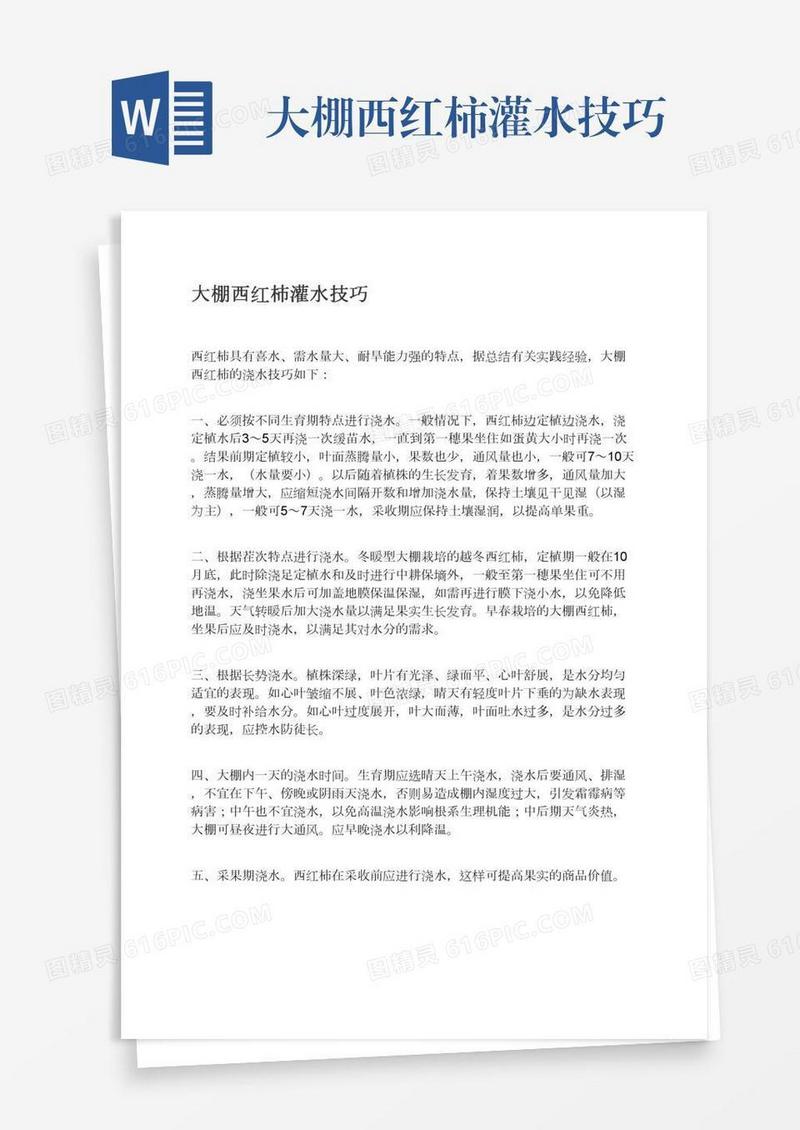 大棚西红柿灌水技巧