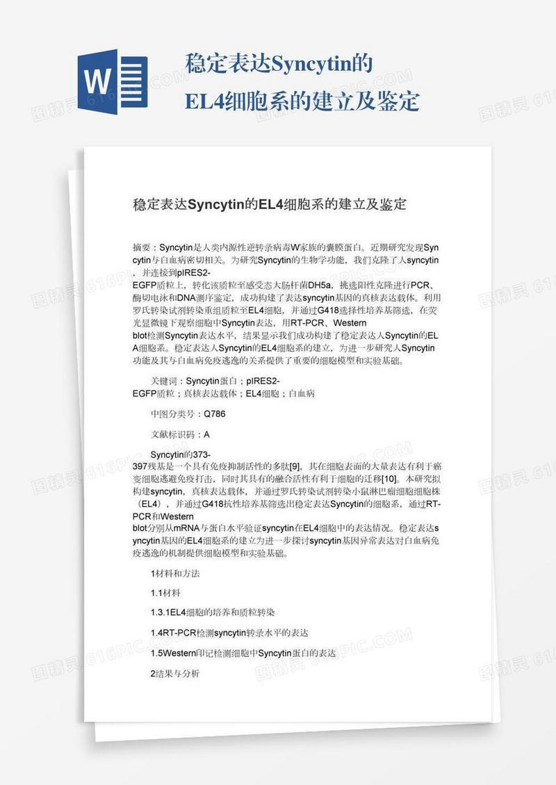 稳定表达Syncytin的EL4细胞系的建立及鉴定