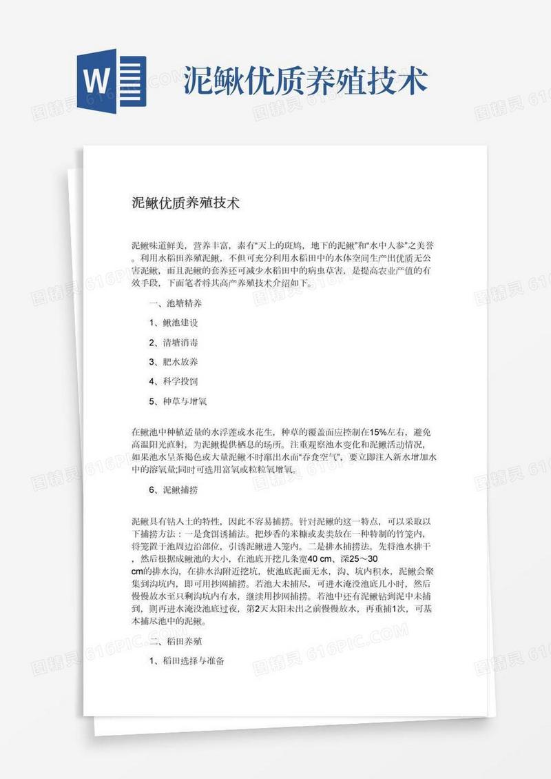 泥鳅优质养殖技术