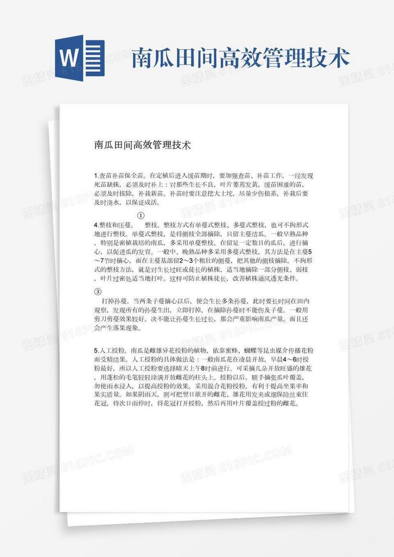 南瓜田间高效管理技术
