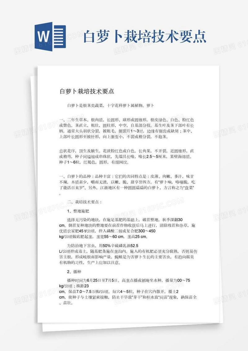 白萝卜栽培技术要点