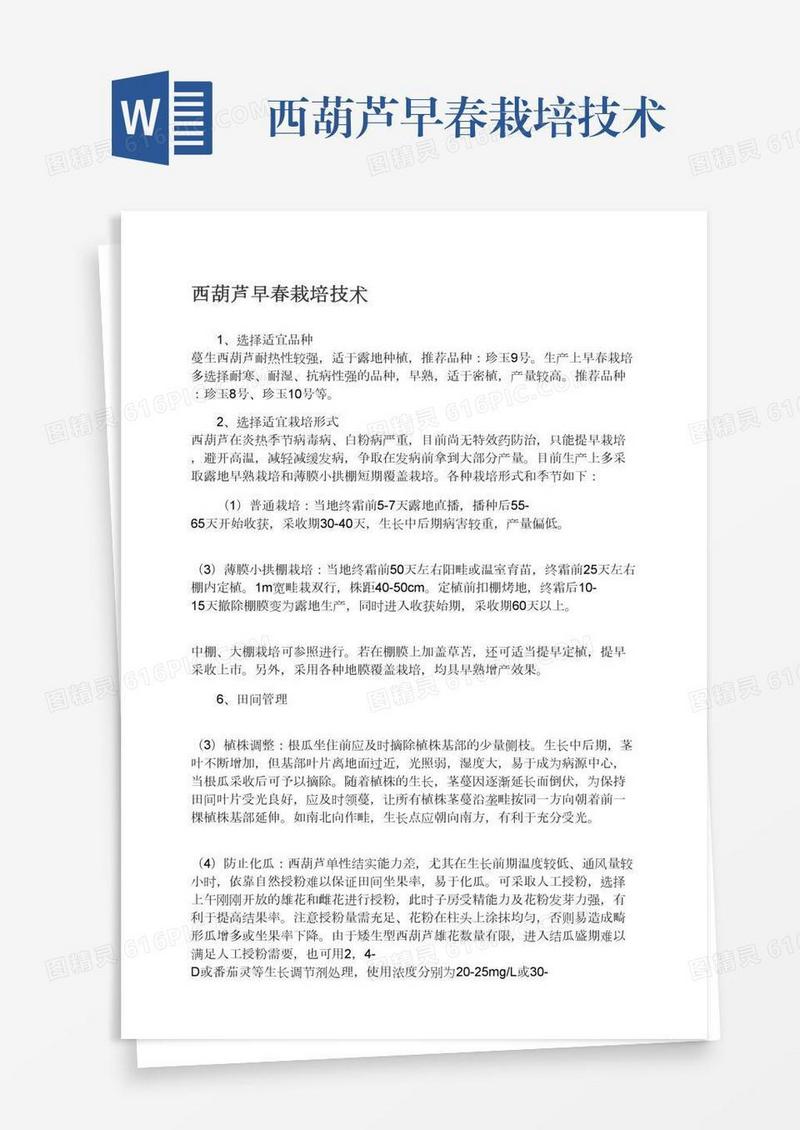 西葫芦早春栽培技术