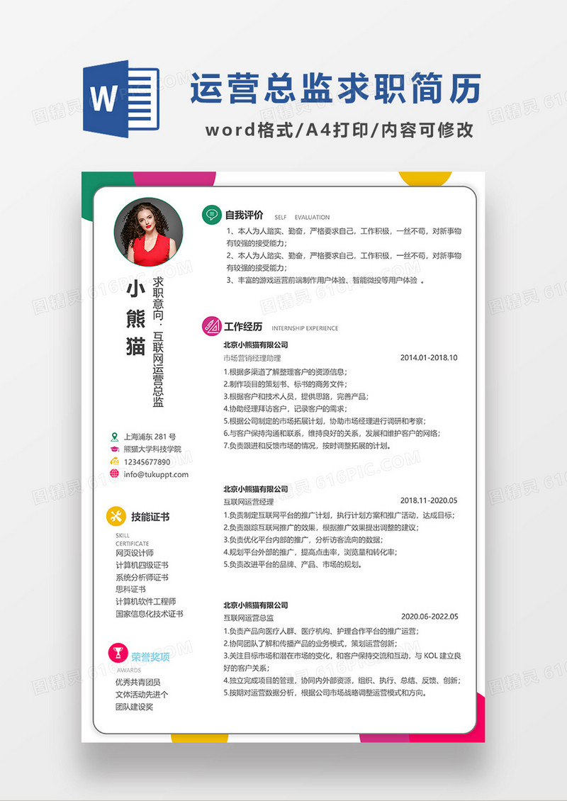 彩色清新互联网运营总监求职简历WORD模板