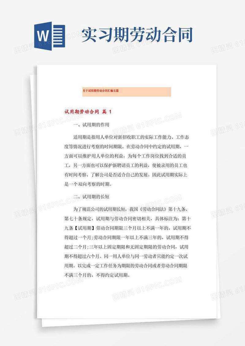 关于试用期劳动合同汇编五篇