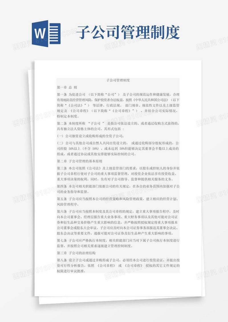 大气版子公司管理规定