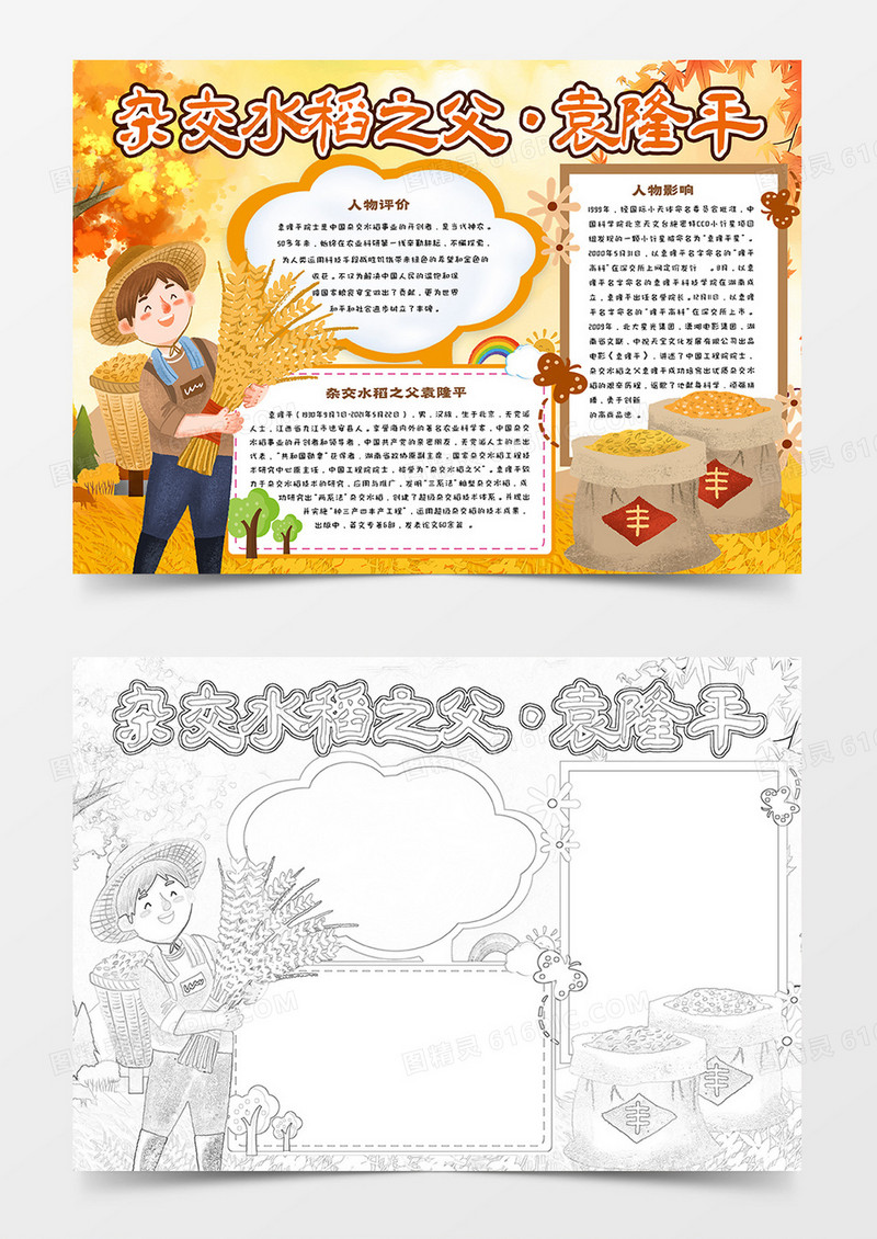 杂交水稻之父袁隆平手抄报