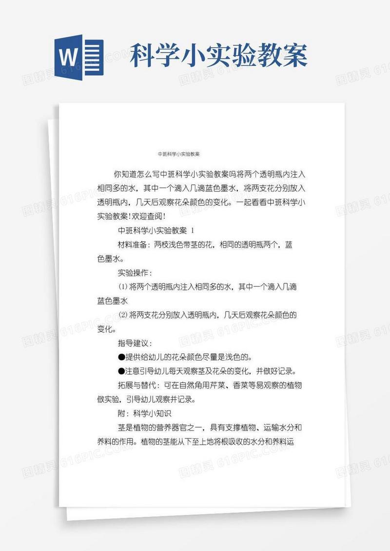 大气版中班科学小实验教案
