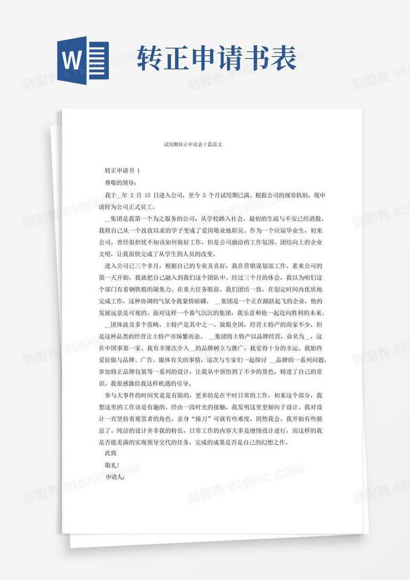 大气版试用期转正申请表十篇范文