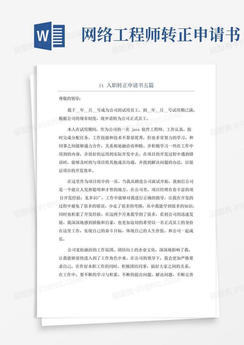 好用的it入职转正申请书五篇