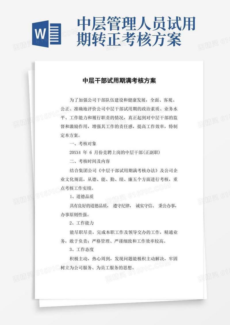 实用的中层干部试用期满考核方案