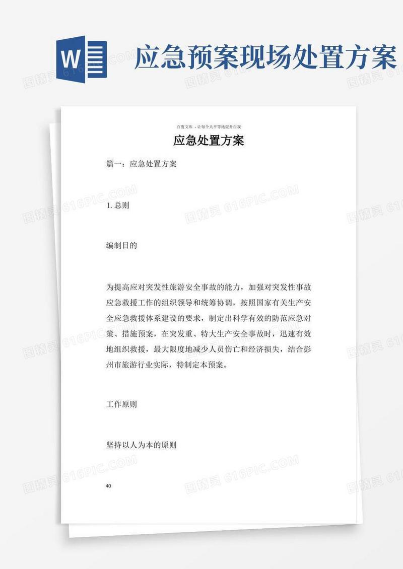 好用的应急处置方案