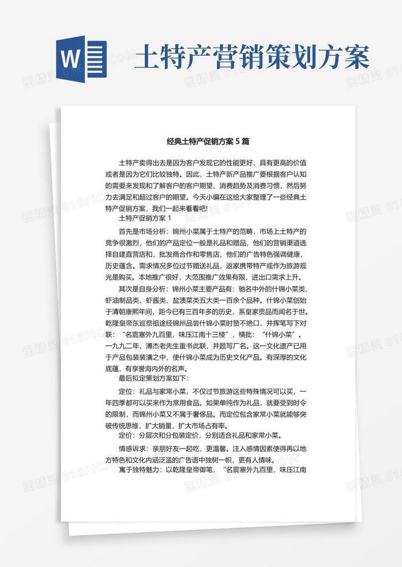 实用的经典土特产促销方案5篇