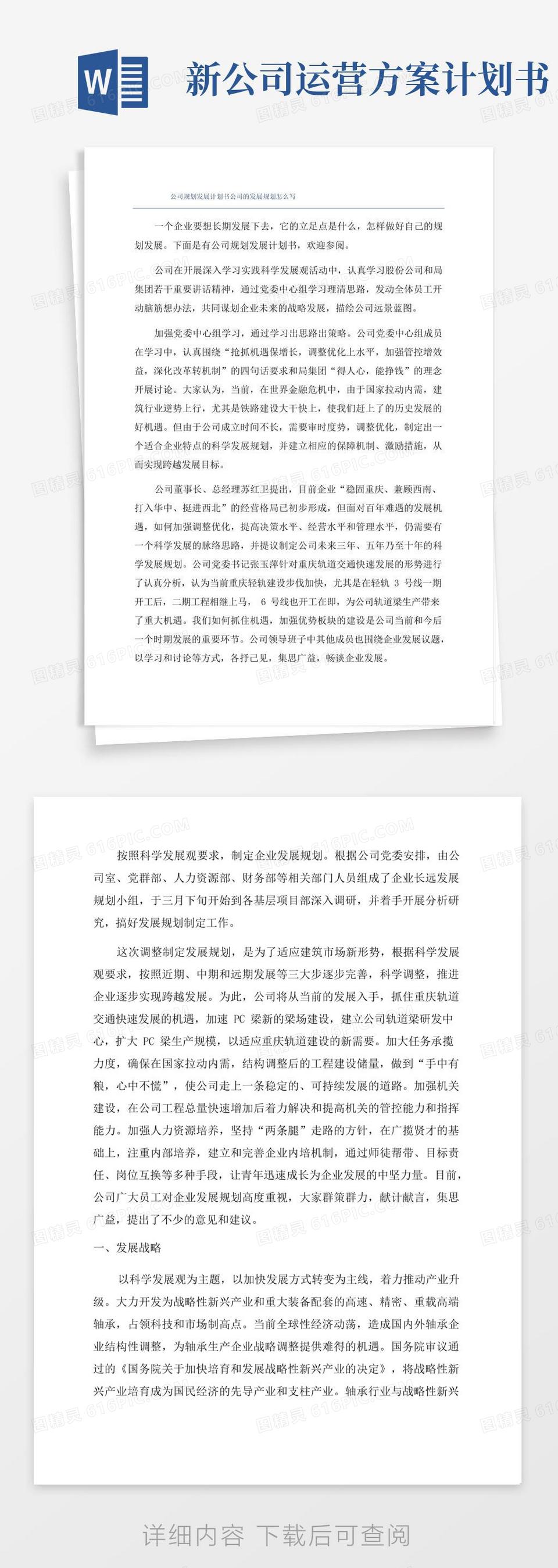 实用的公司规划发展计划书公司的发展规划怎么写