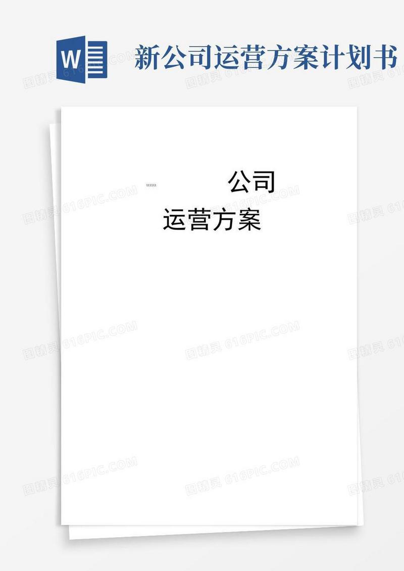 大气版新公司运营计划书