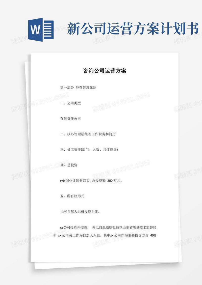 大气版咨询公司运营方案【最新版】