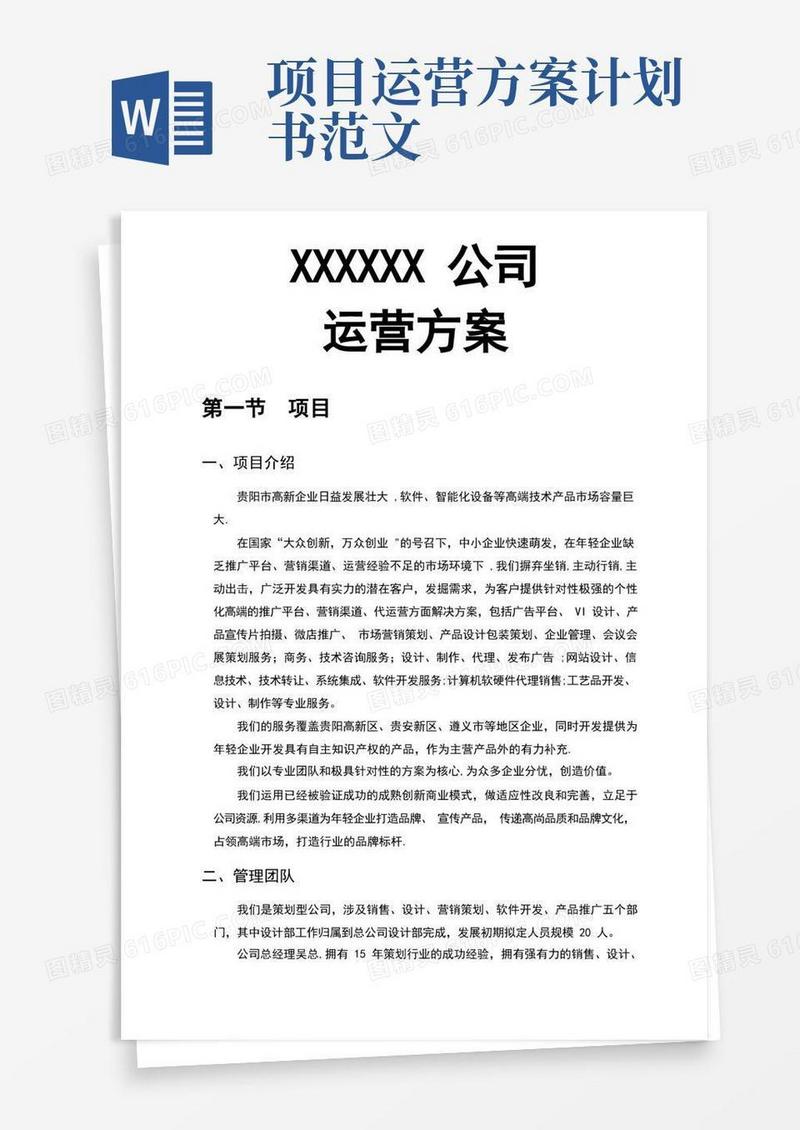 大气版新公司运营计划书