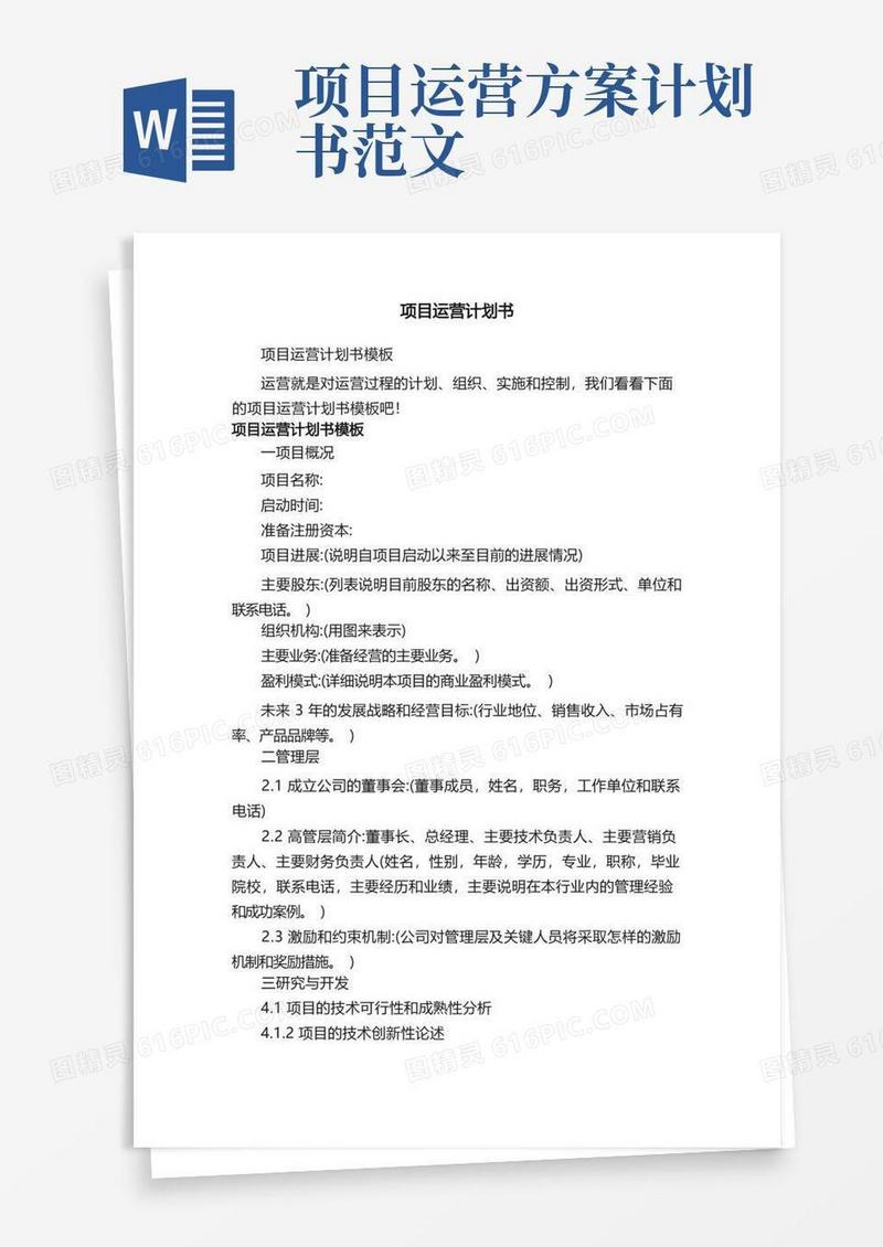 通用版项目运营计划书模板