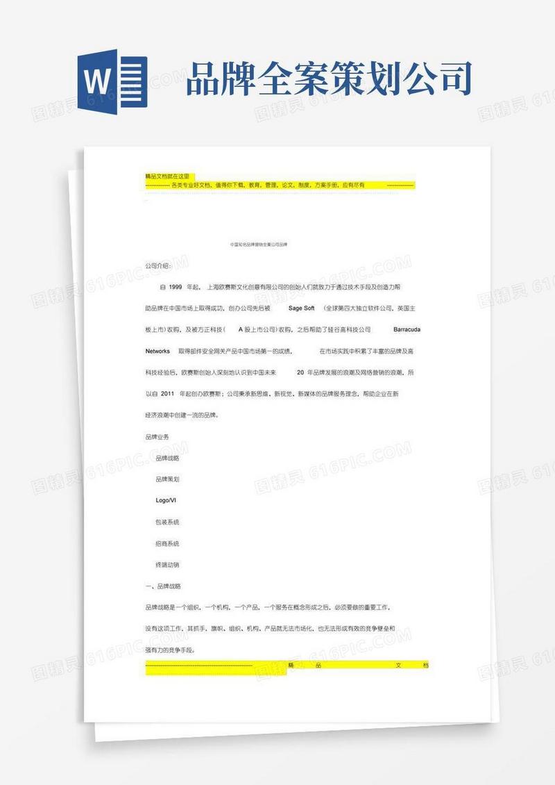 大气版中国知名品牌营销全案公司