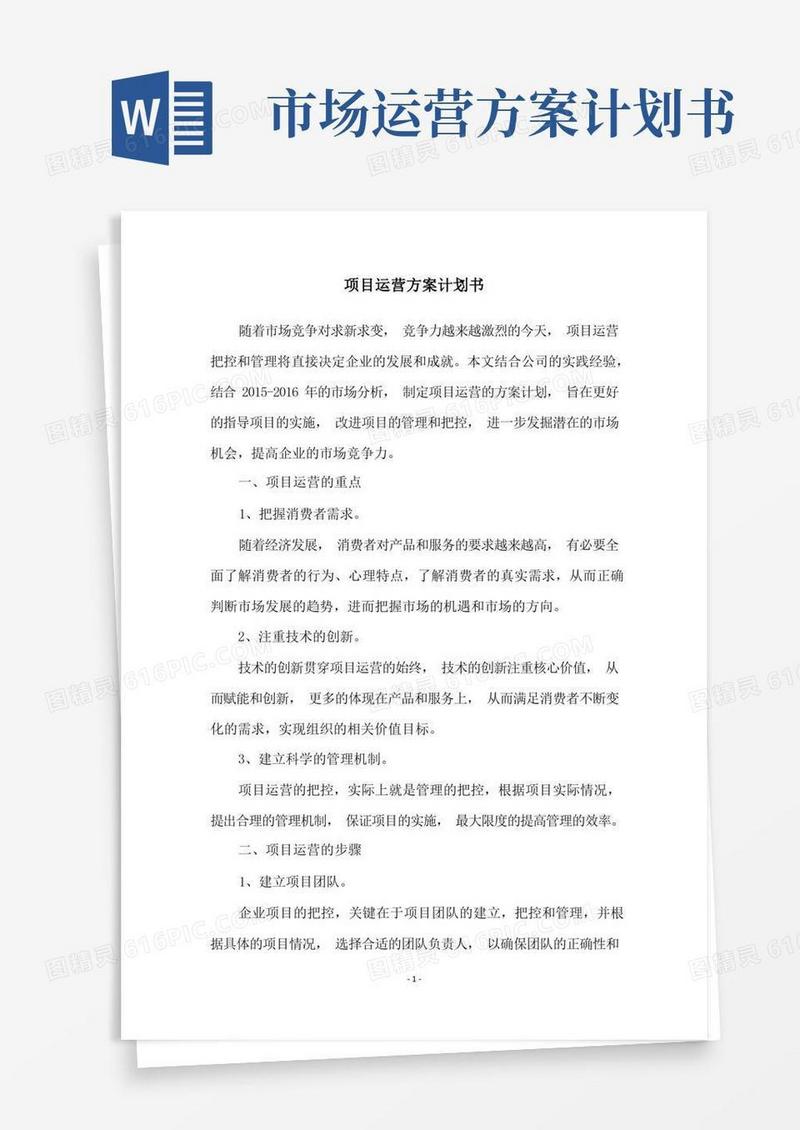 大气版项目运营方案计划书