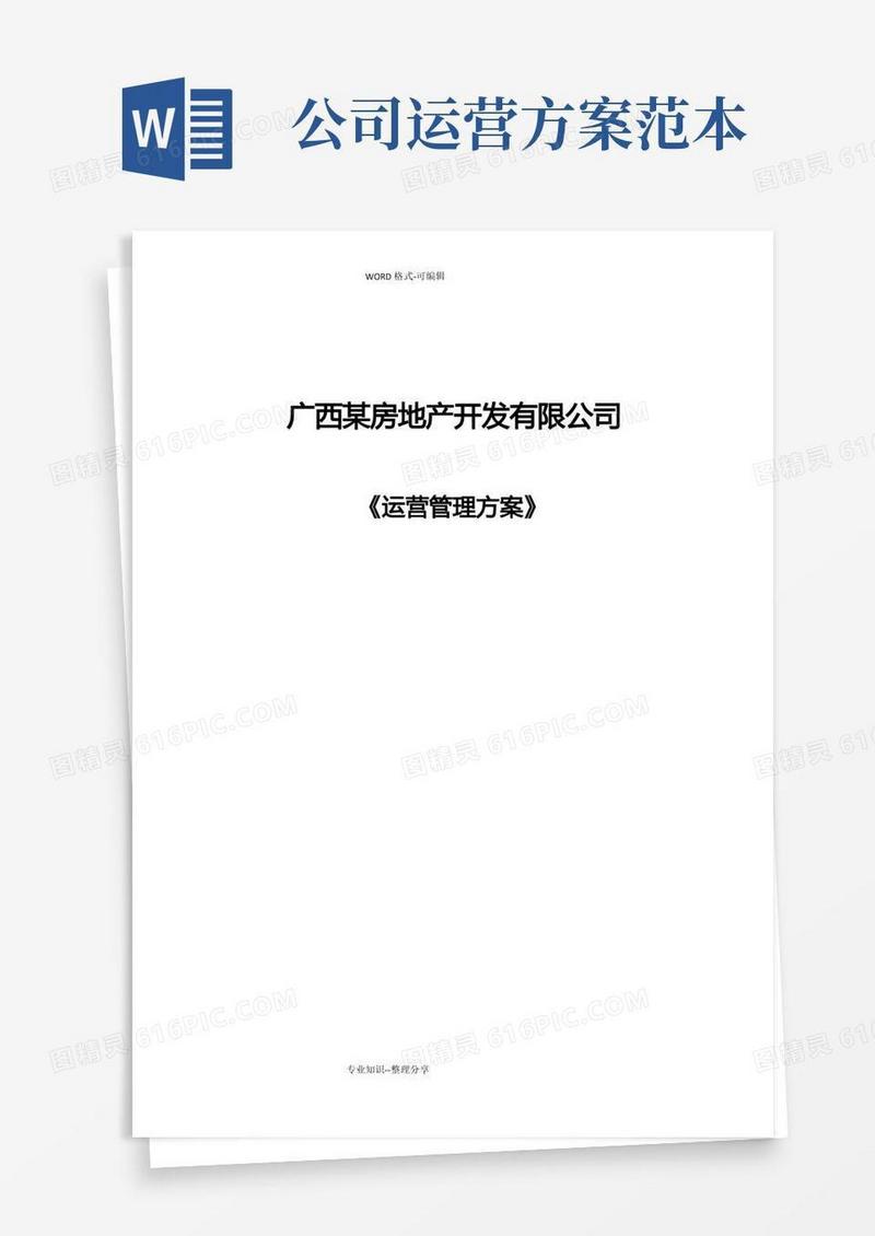 好用的公司运营方案说明