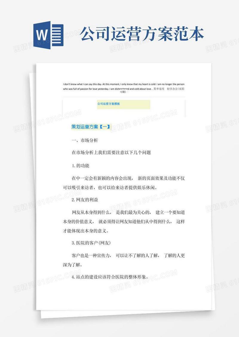 简洁的公司运营方案模板
