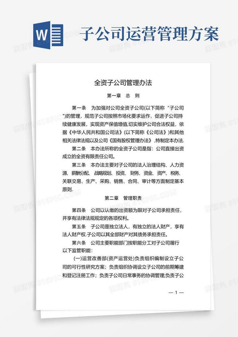 全资子公司管理办法【呕心沥血整理版】