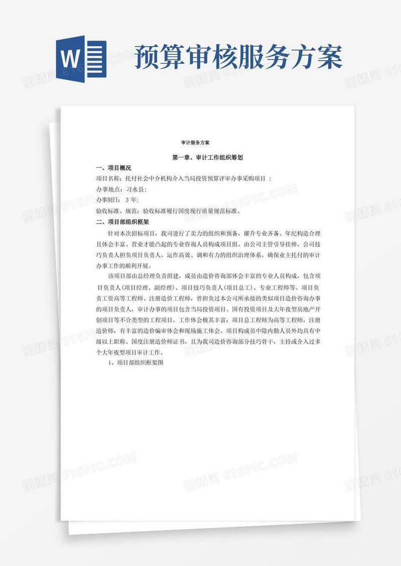 审计服务方案