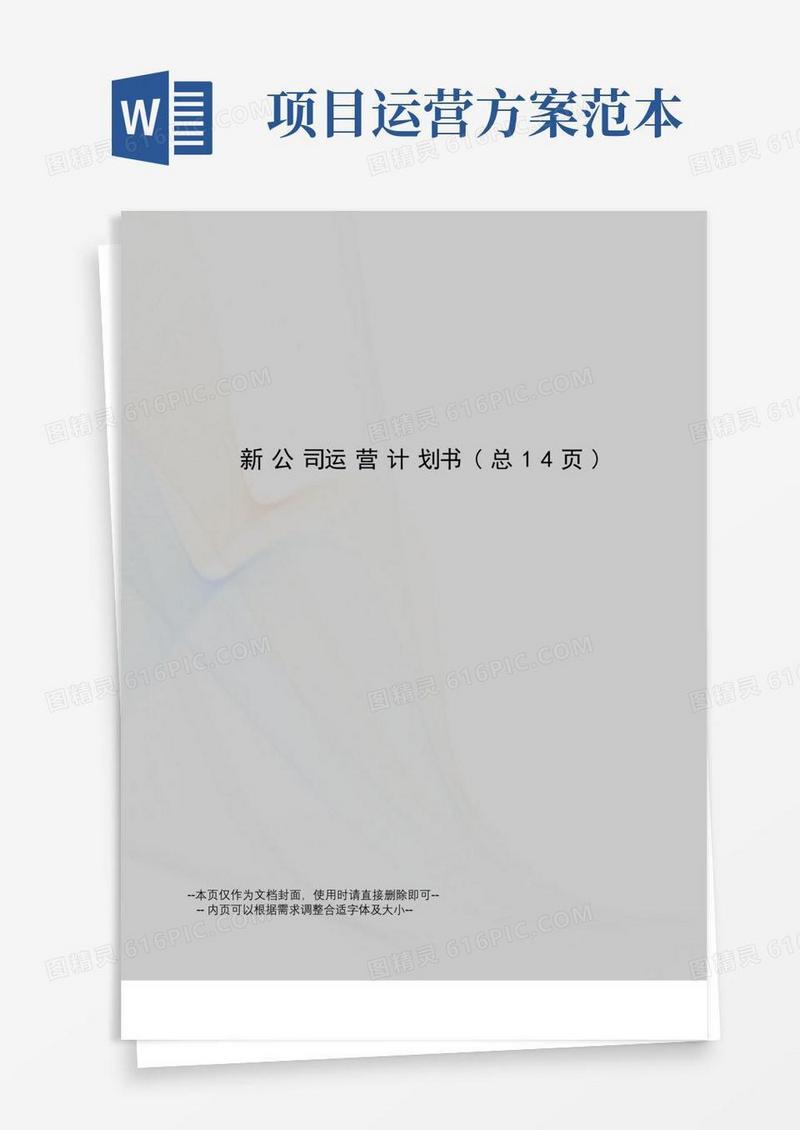 新公司运营计划书