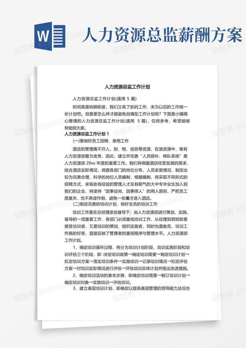 人力资源总监工作计划（通用5篇）