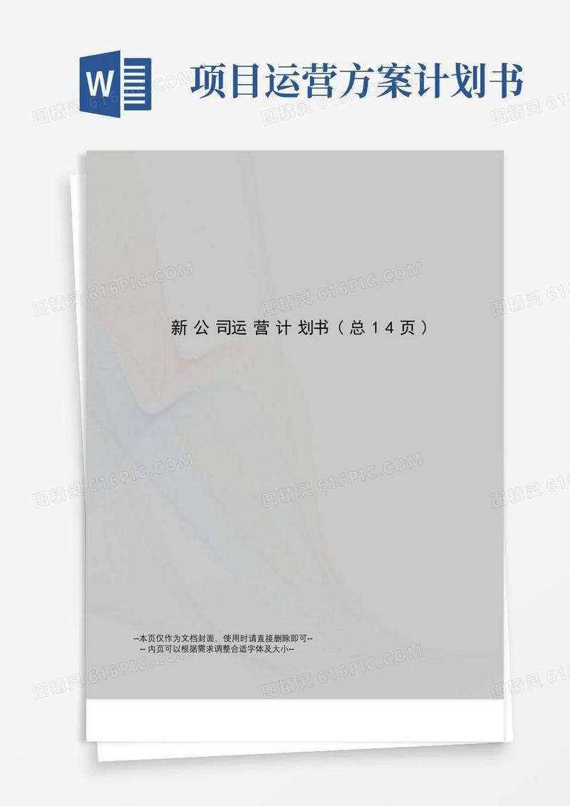 新公司运营计划书
