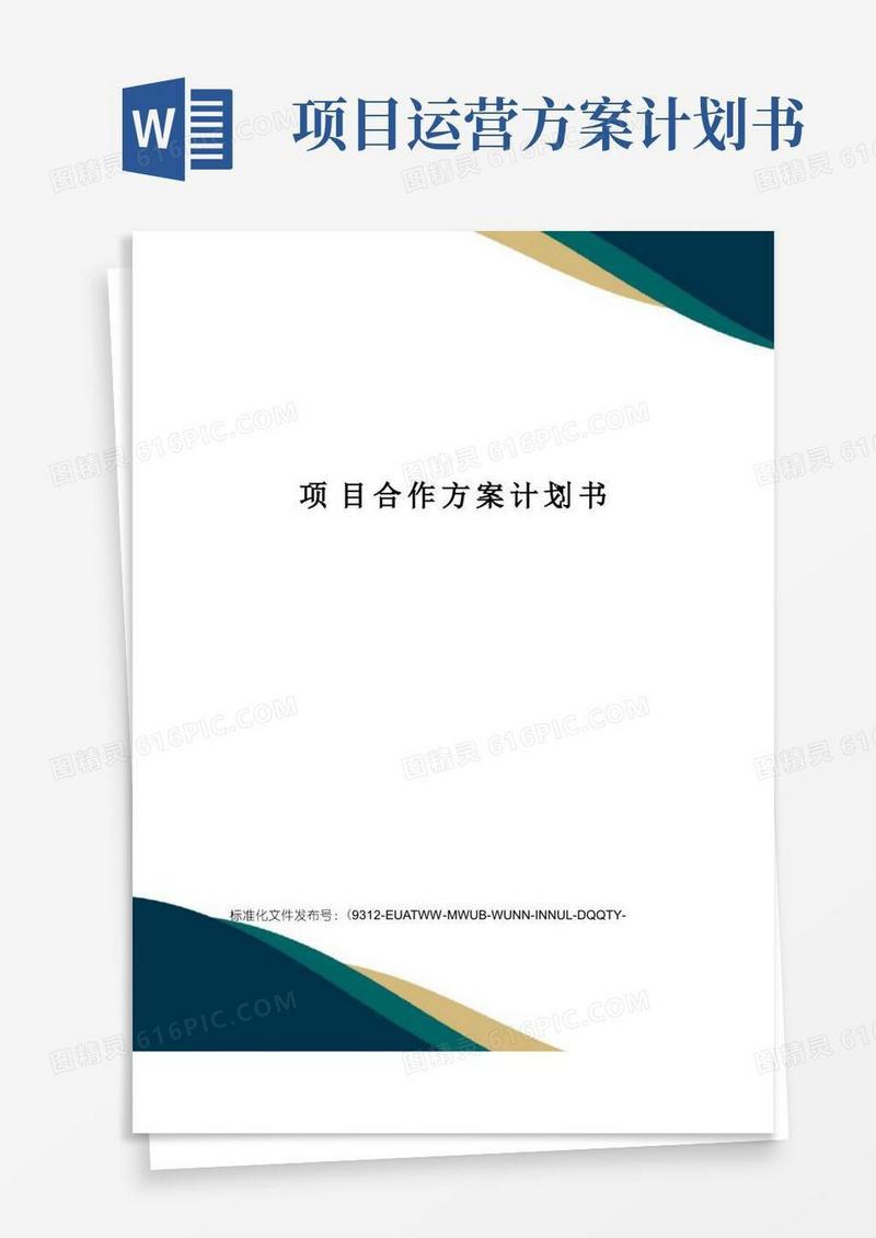项目合作方案计划书