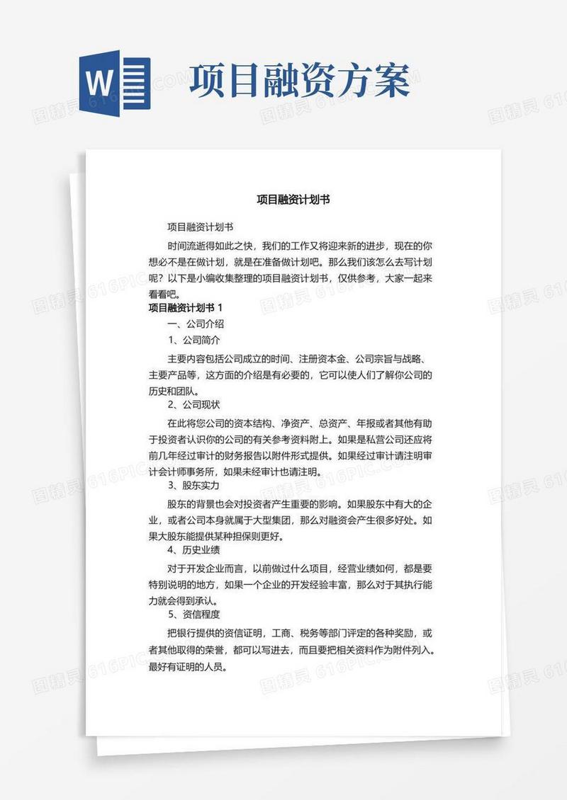 项目融资计划书